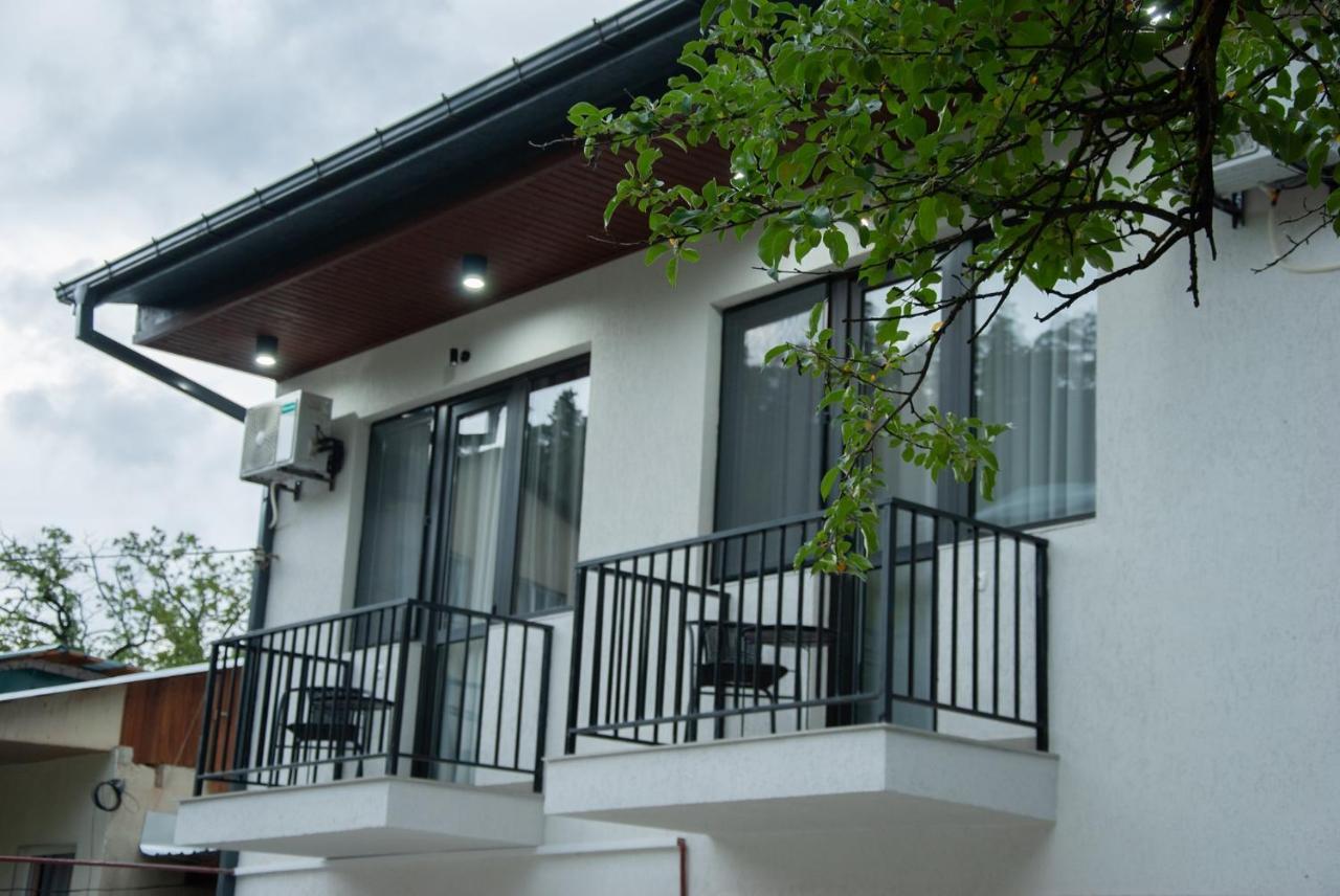 Likani Home Боржоми Екстериор снимка